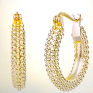 Rachel Glauber 14K Plated Hoops Earrings NWT